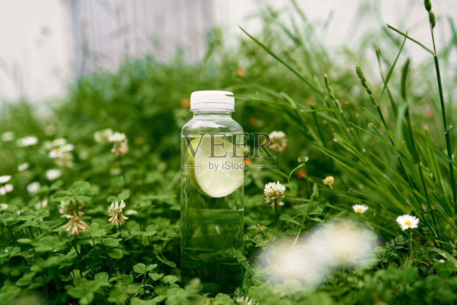 一瓶柠檬水放在雏菊和三叶草的绿草地上照片摄影图片