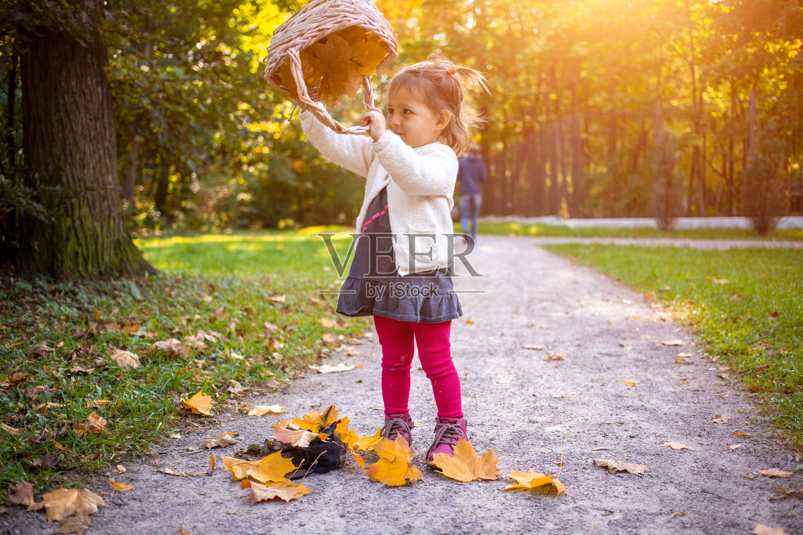 可爱的小女孩在秋天的森林里玩着篮子和秋天的枫叶照片摄影图片
