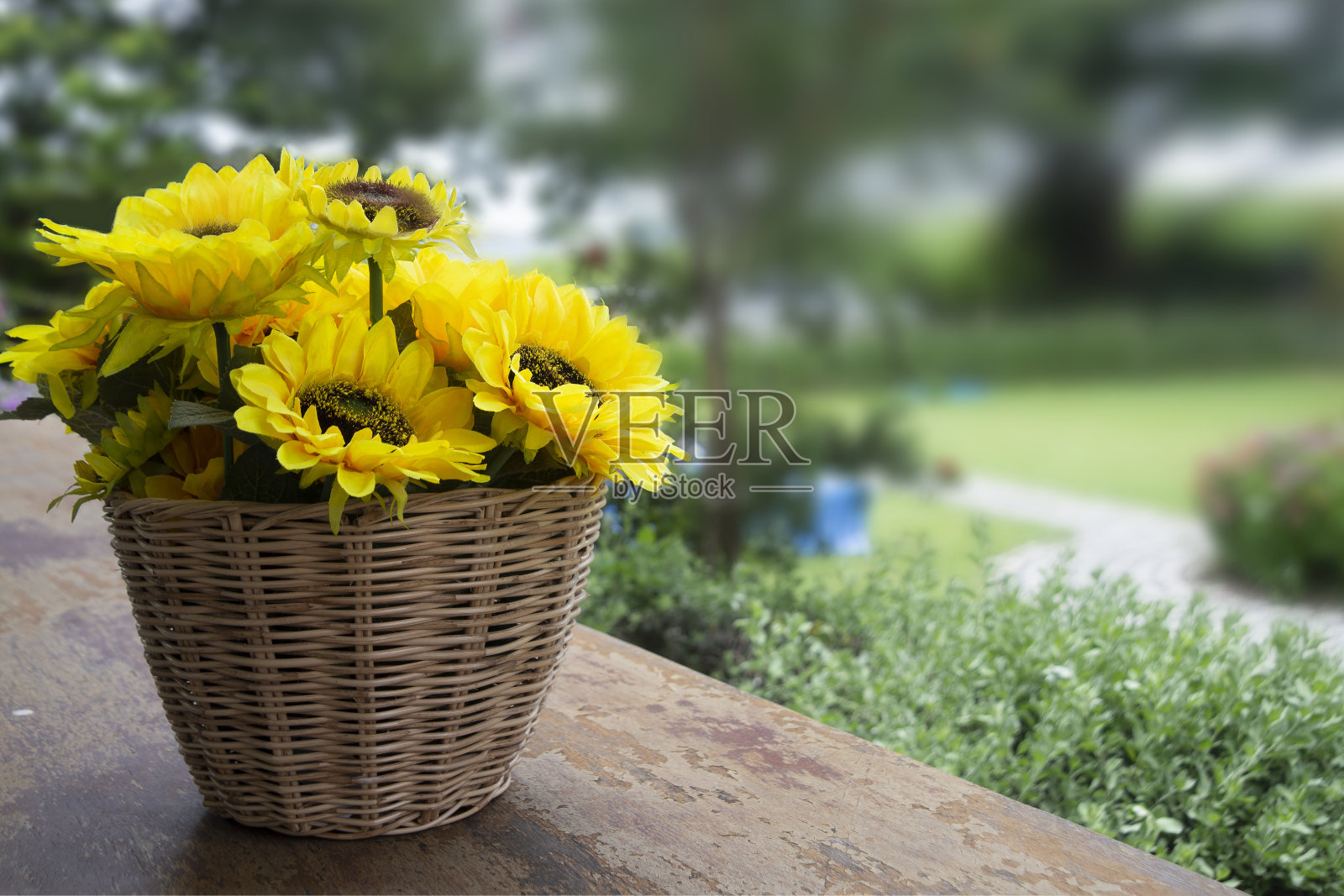美丽的人造向日葵由布在柳条篮子。照片摄影图片