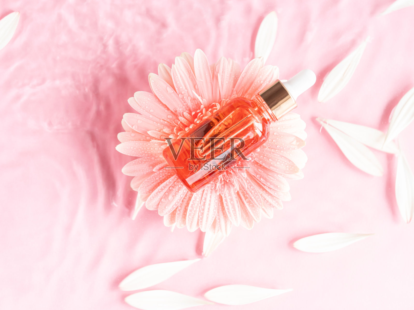 化妆品美容精华油酸瓶产品在粉红色背景水中与粉红色雏菊照片摄影图片