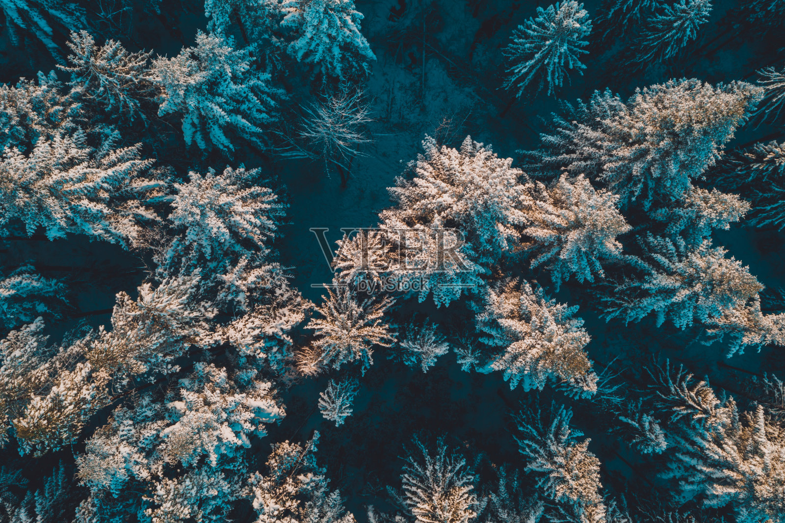 寒冷季节的空中森林景观照片摄影图片