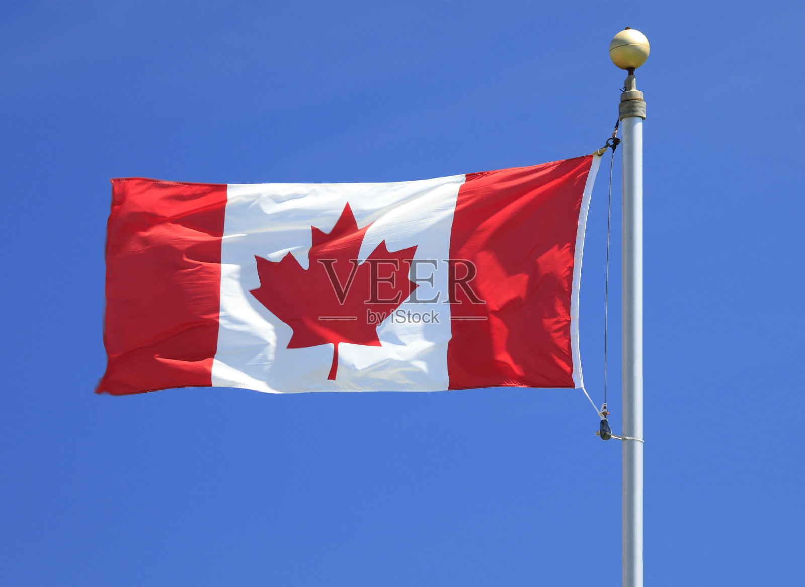 加拿大国旗在风中飘扬照片摄影图片