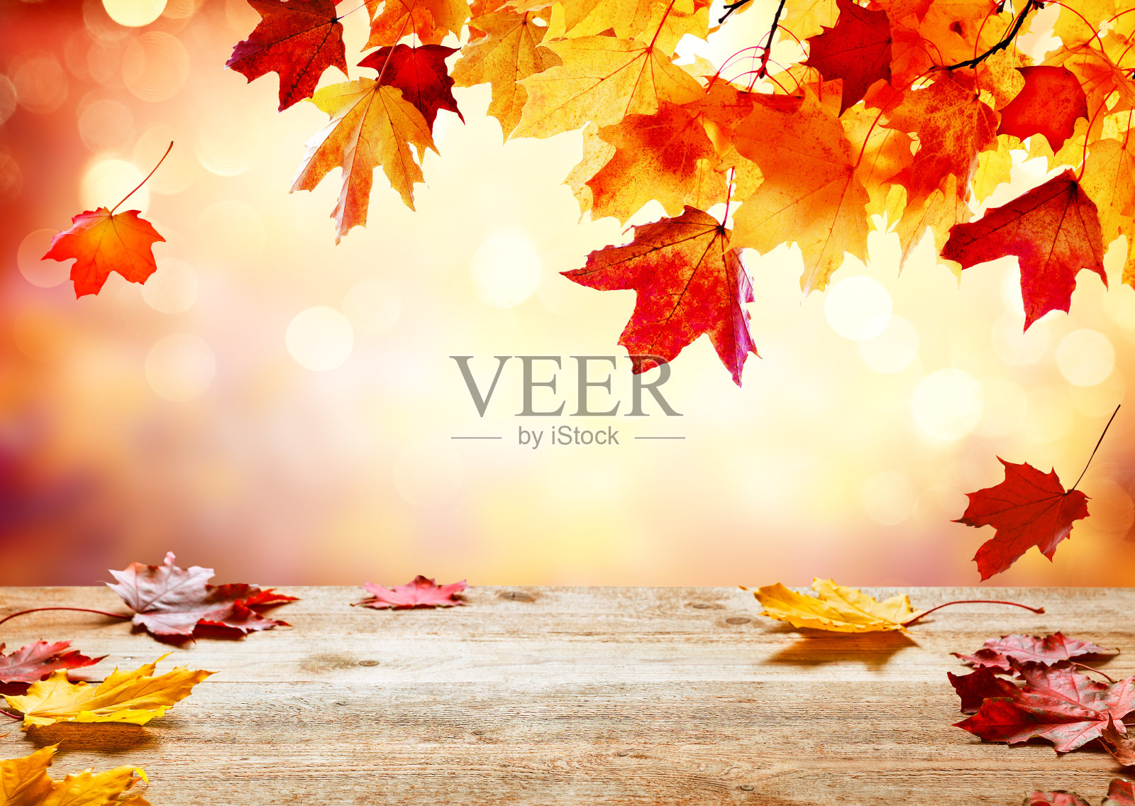 秋天的金色抽象背景与散景光和多彩的叶子。照片摄影图片