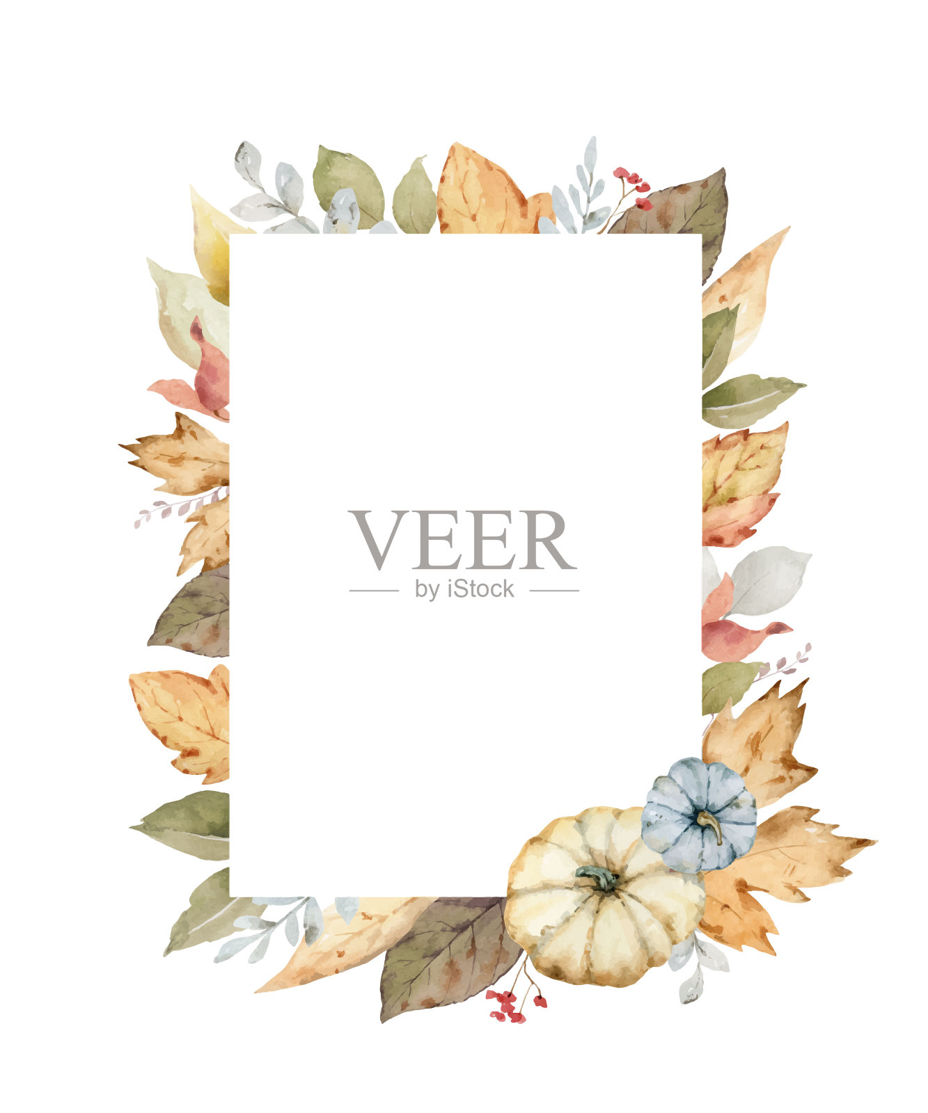 感恩节向量用秋天的叶子和花来装饰五颜六色的南瓜。水彩卡片的感恩节孤立在白色的背景。设计元素图片