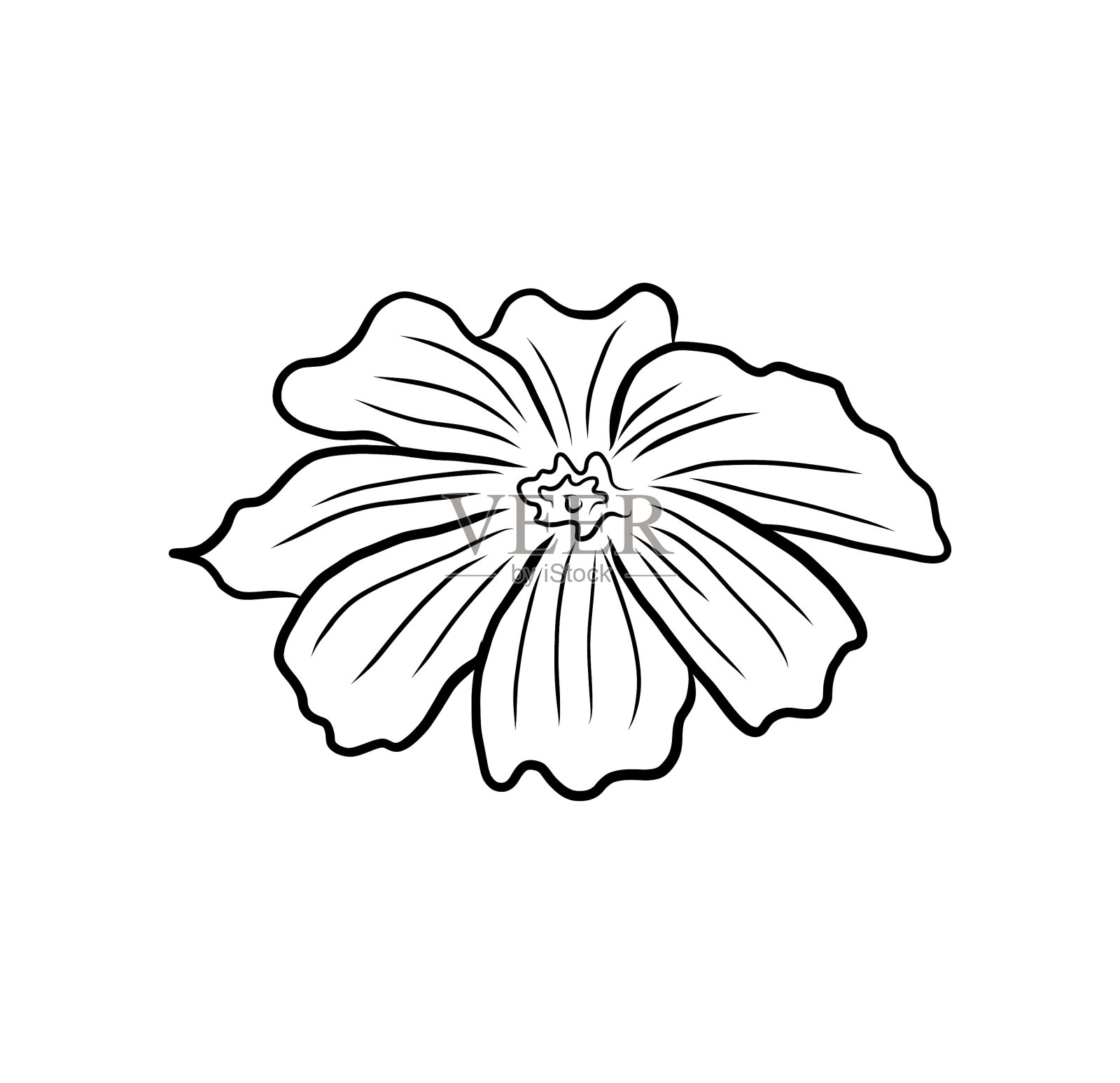 手绘花卉背景线艺术花设计元素图片