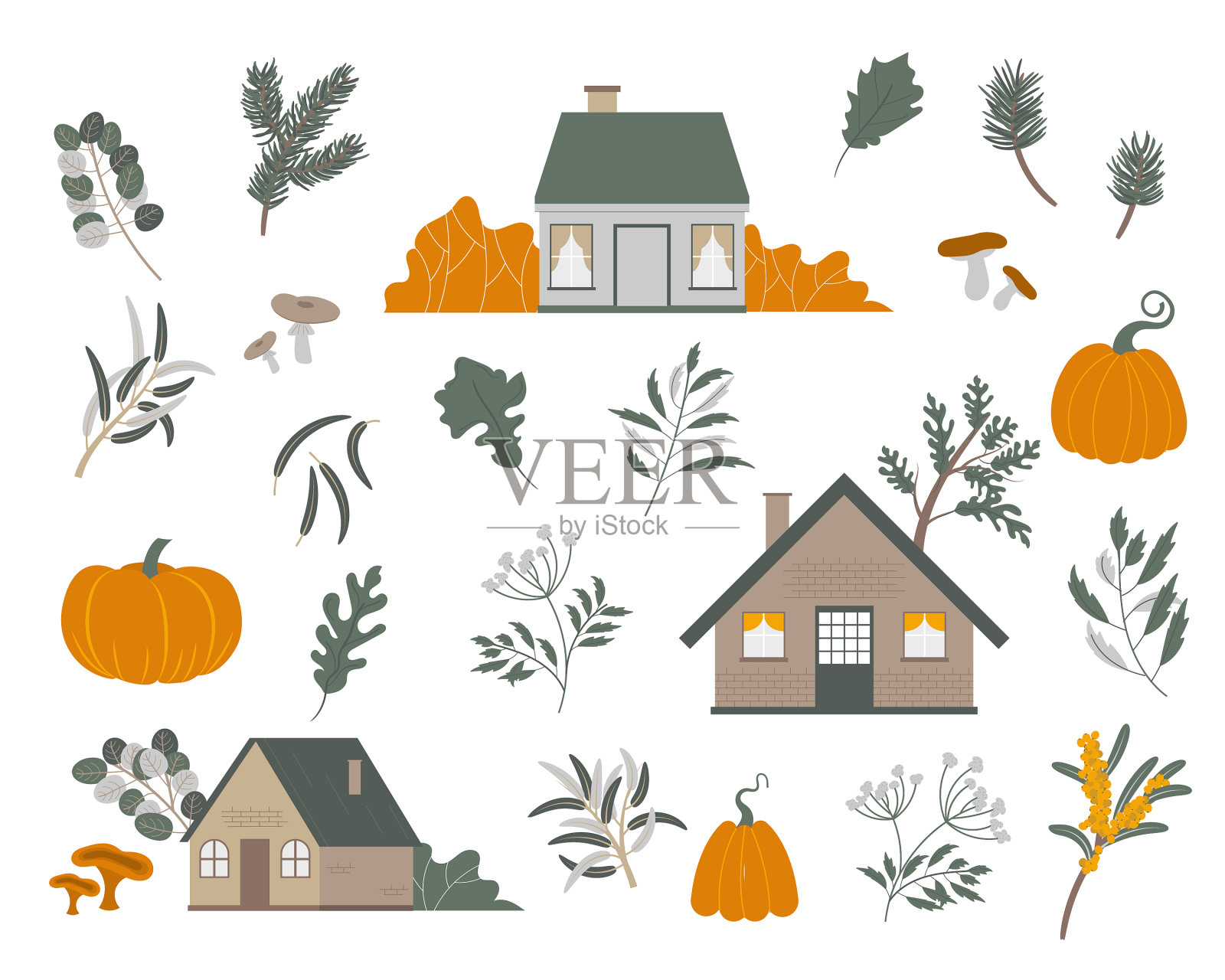 秋天的树叶和浆果孤立在白色上插画图片素材