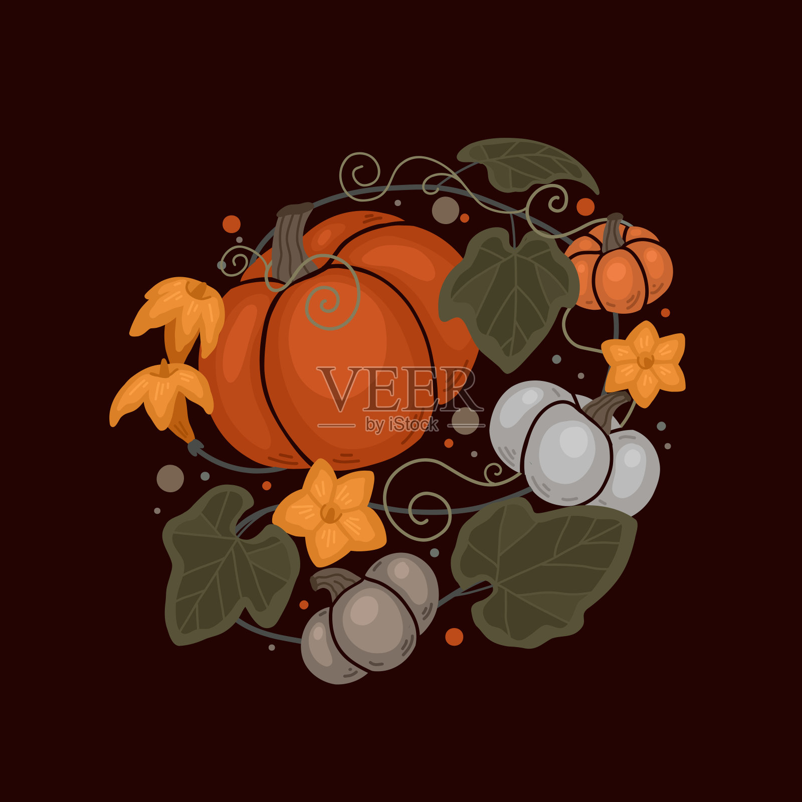 秋天的南瓜插图树叶和藤蔓卷曲。矢量平面插图的蔬菜和叶子。暖色构成插画图片素材
