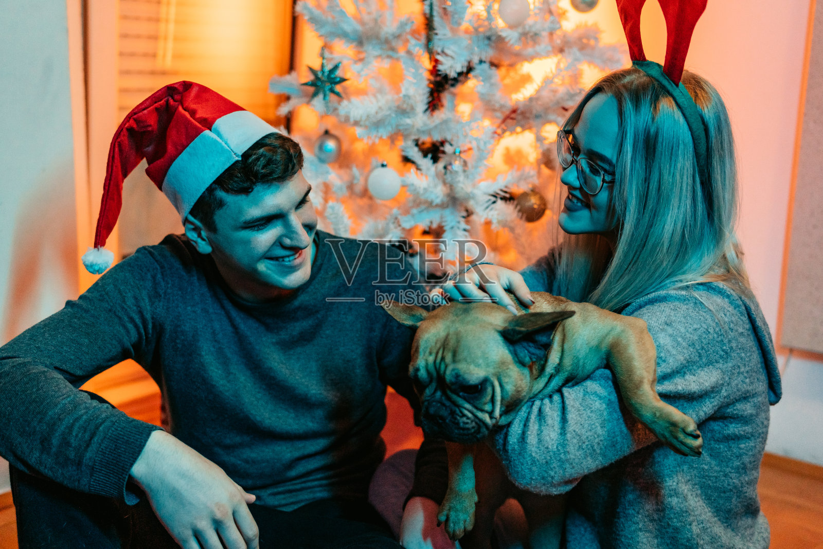 一对夫妇带着狗在家里庆祝圣诞节照片摄影图片