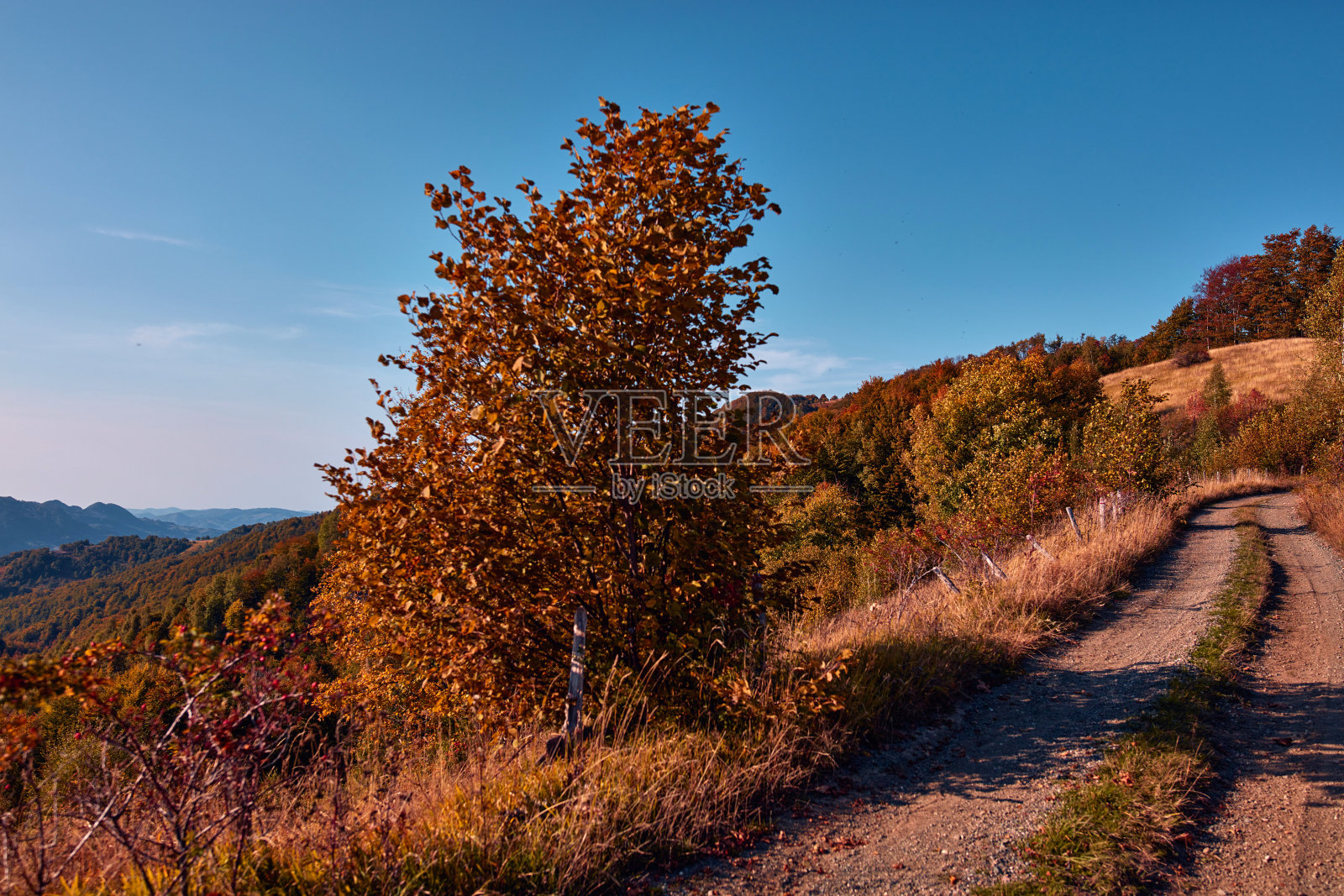 乡村丘陵景观在秋天的色彩。照片摄影图片