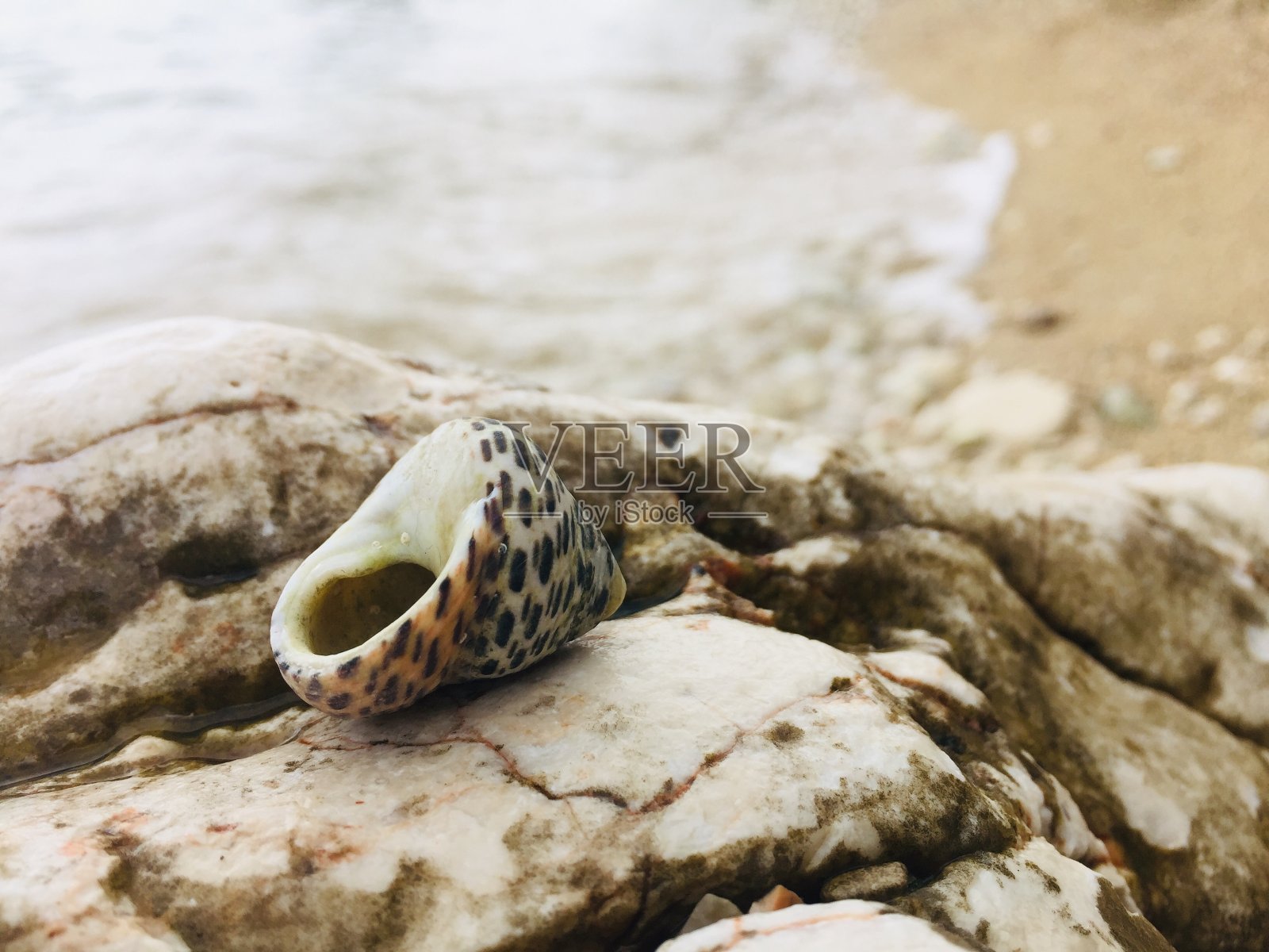 希腊岛上的贝壳照片摄影图片