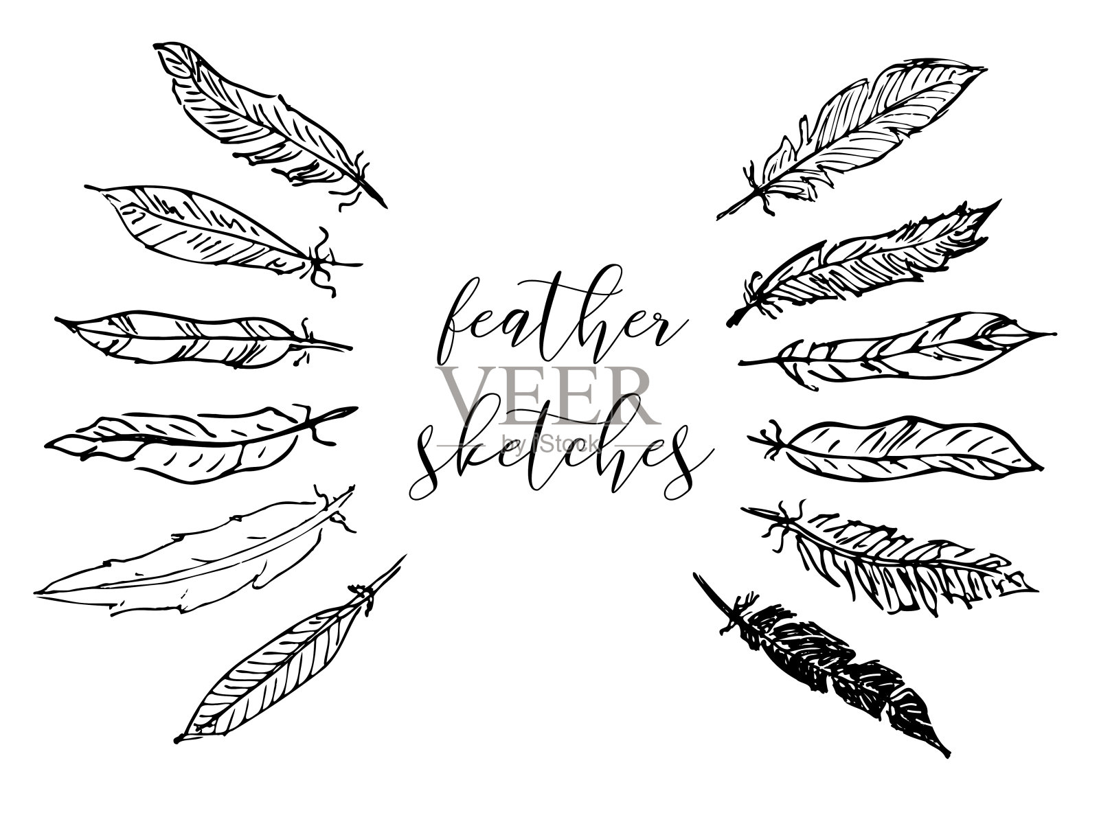 羽毛素描集，装饰从鸟翅膀手绘铅笔，墨水或钢笔，羽毛设计元素图片