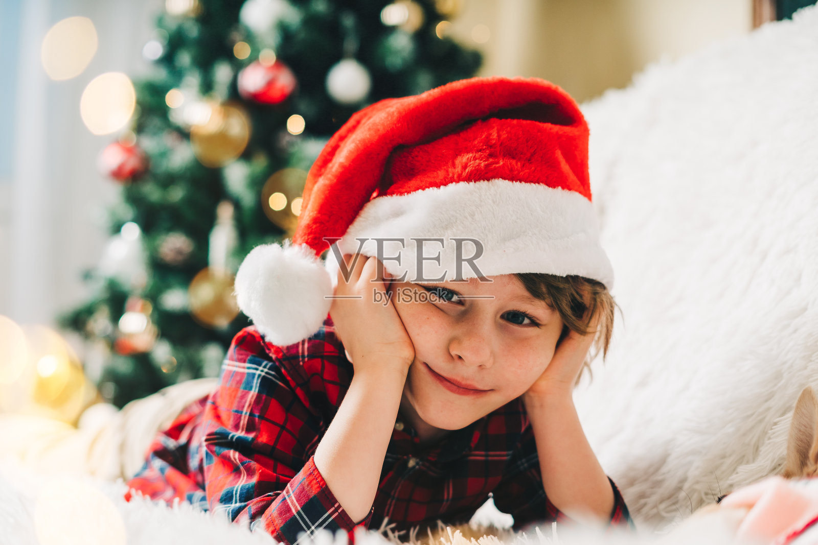 圣诞快乐。有趣体贴的小男孩躺在沙发上的毯子在冬季假期。戴圣诞帽的男孩。圣诞树与淡淡的散景。新年快乐照片摄影图片