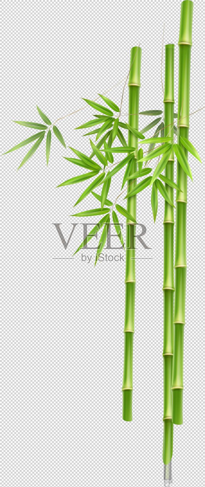 三根笔直的绿竹设计元素图片