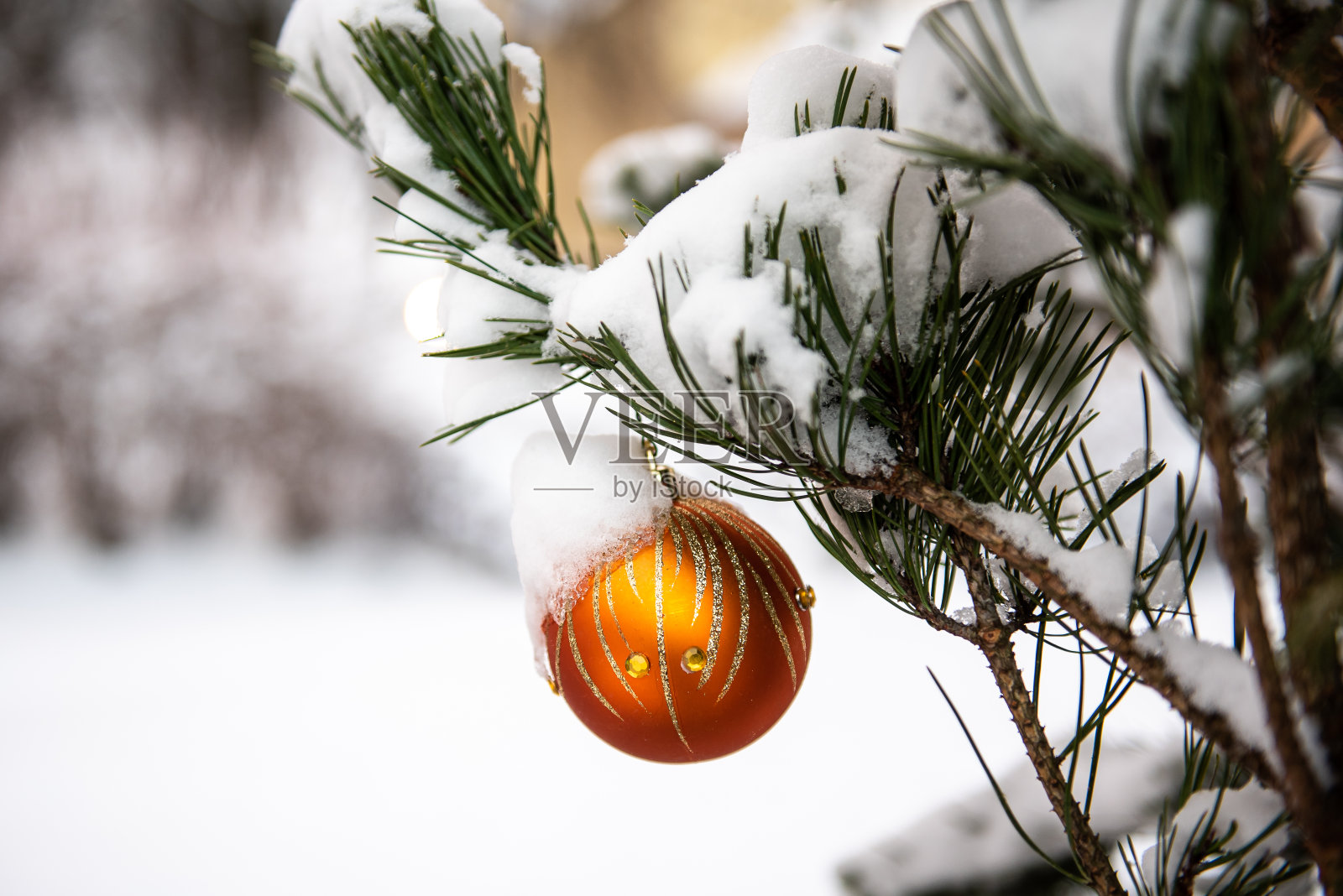 圣诞球栽在雪白的松枝上照片摄影图片