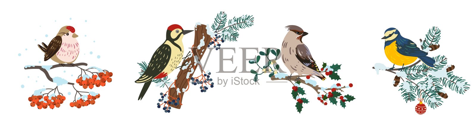 冬鸟在树枝上。可爱的小鸟在不同的树枝上，山雀和啄木鸟，麻雀和红腹红雀坐在勉强和rowan树，圣诞气氛，羽毛生物向量集设计元素图片