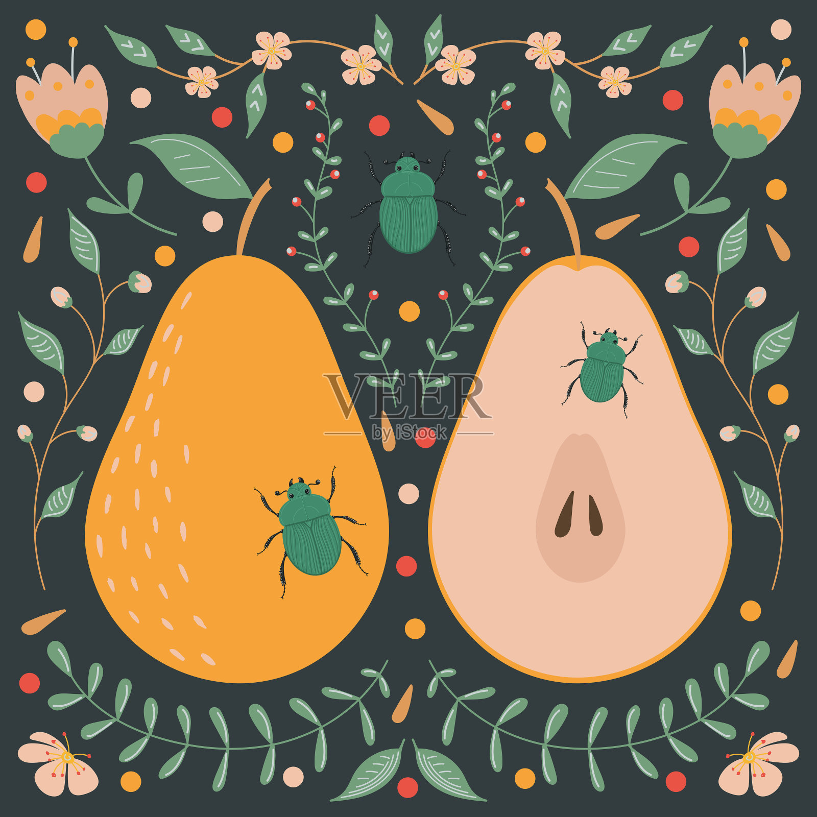 黄色的梨，在一个黑色的背景与花卉元素，花，叶和绿色的甲虫。插画图片素材