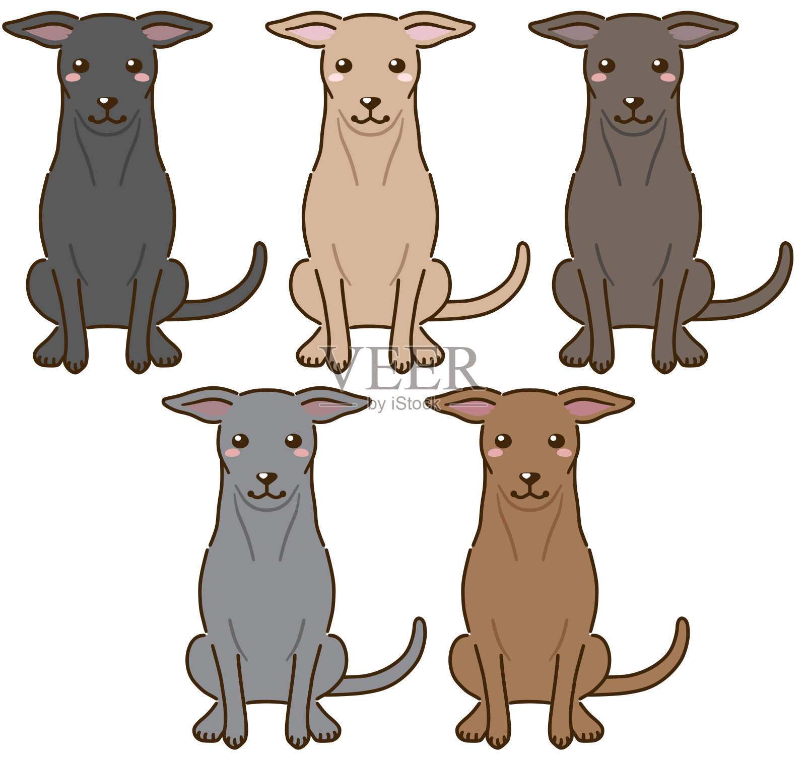 8种灰狗品种(附图)|宠物Keenbob手机版网页体育BOB体育综合网页版
