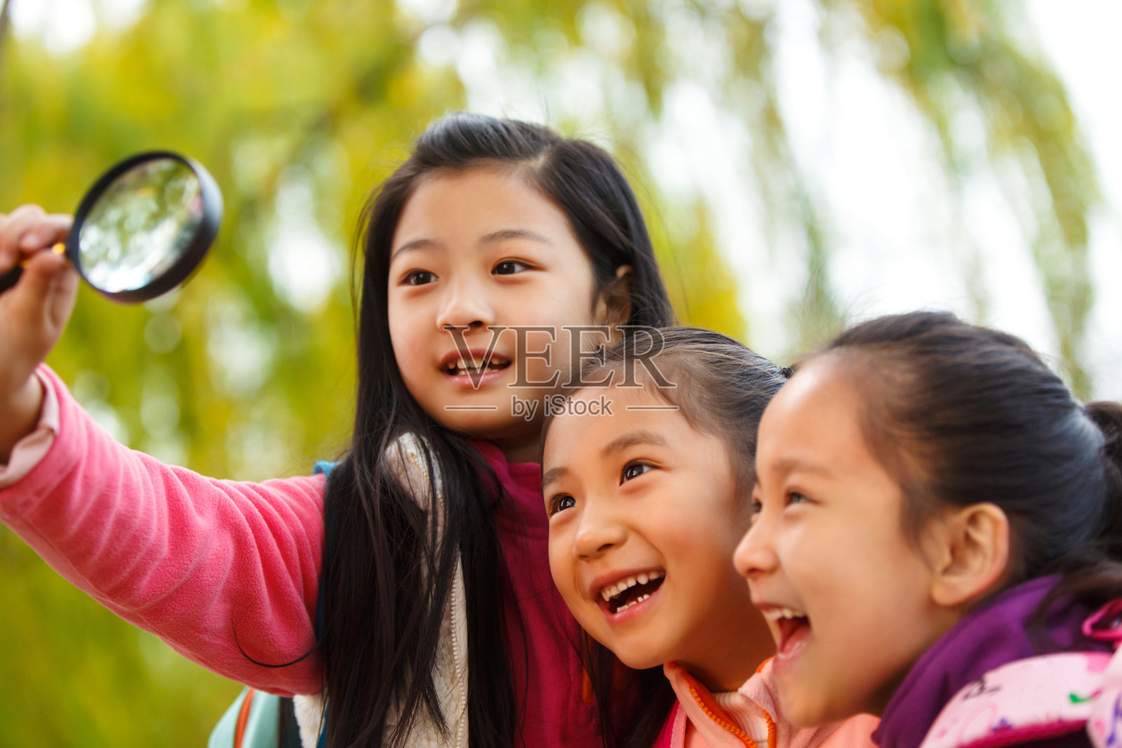 欢乐的小女孩在户外玩耍照片摄影图片