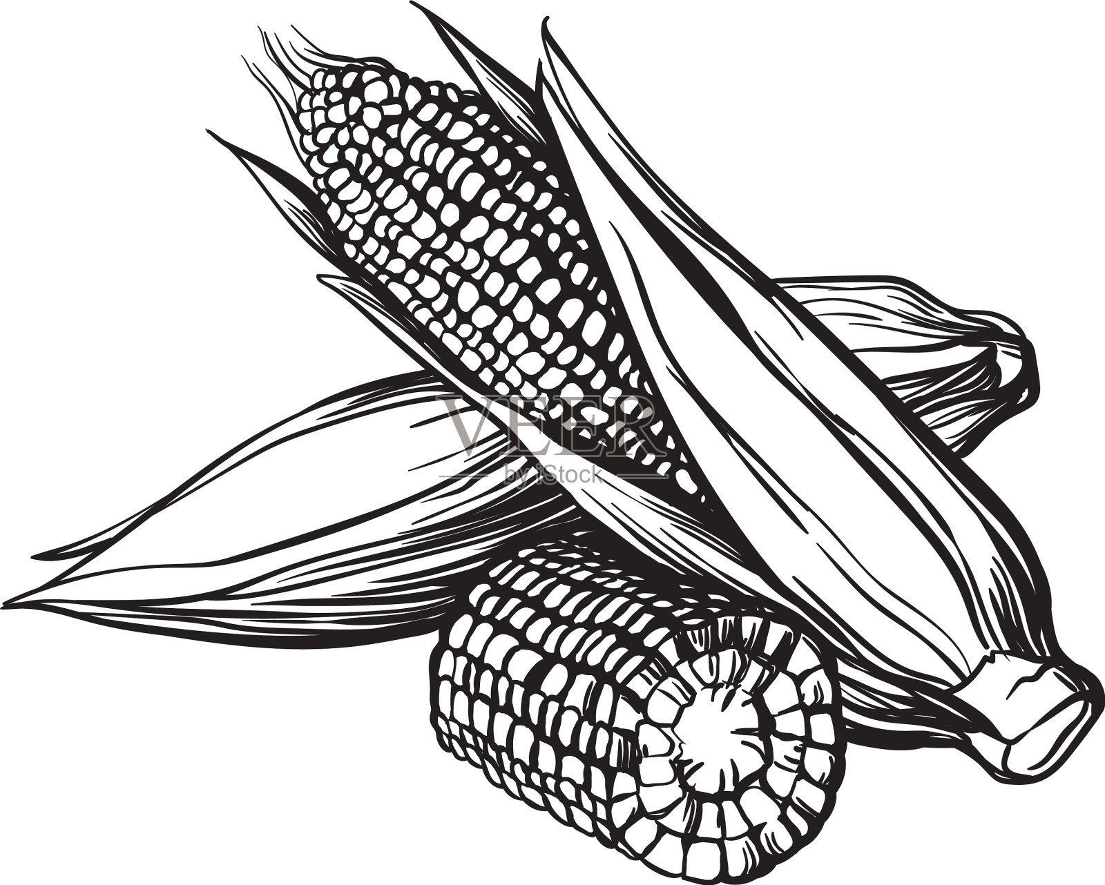 玉米手绘设计图__蔬菜_生物世界_设计图库_昵图网nipic.com
