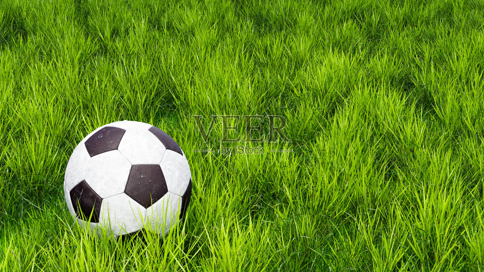 草地上的足球特写。球场上的真实足球。有露珠的足球
, 3 d渲染照片摄影图片