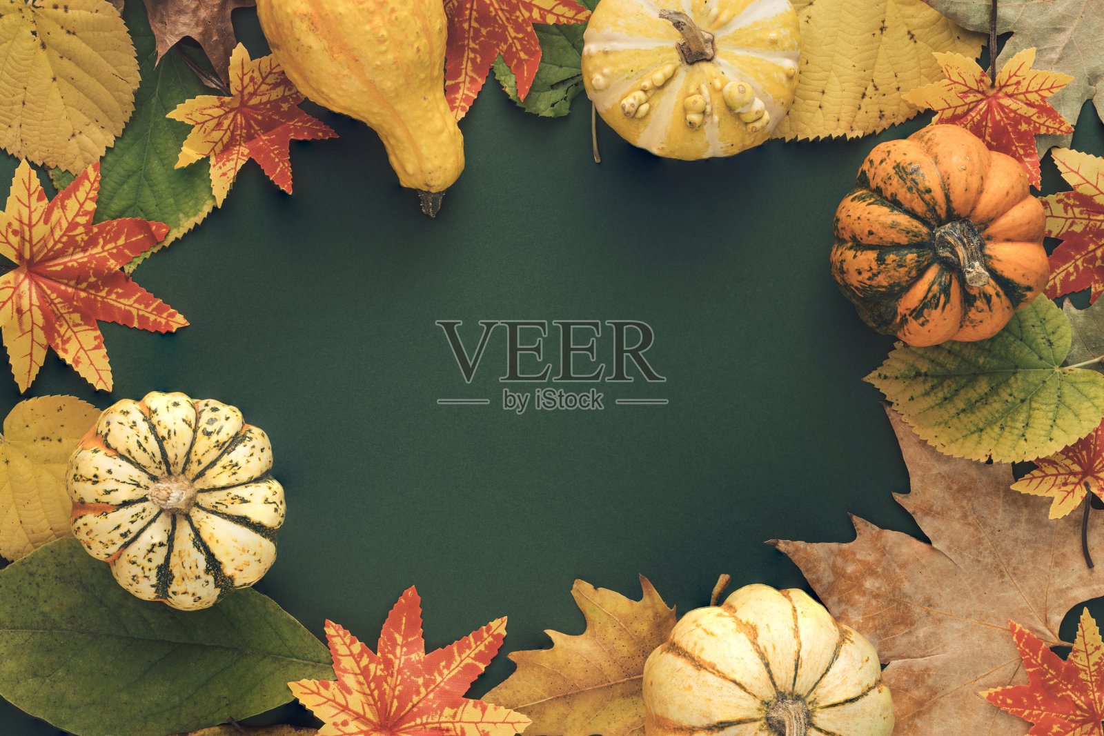 秋天或秋天场景背景与树叶和南瓜。简约的自然季节概念。感恩作文，平躺。照片摄影图片