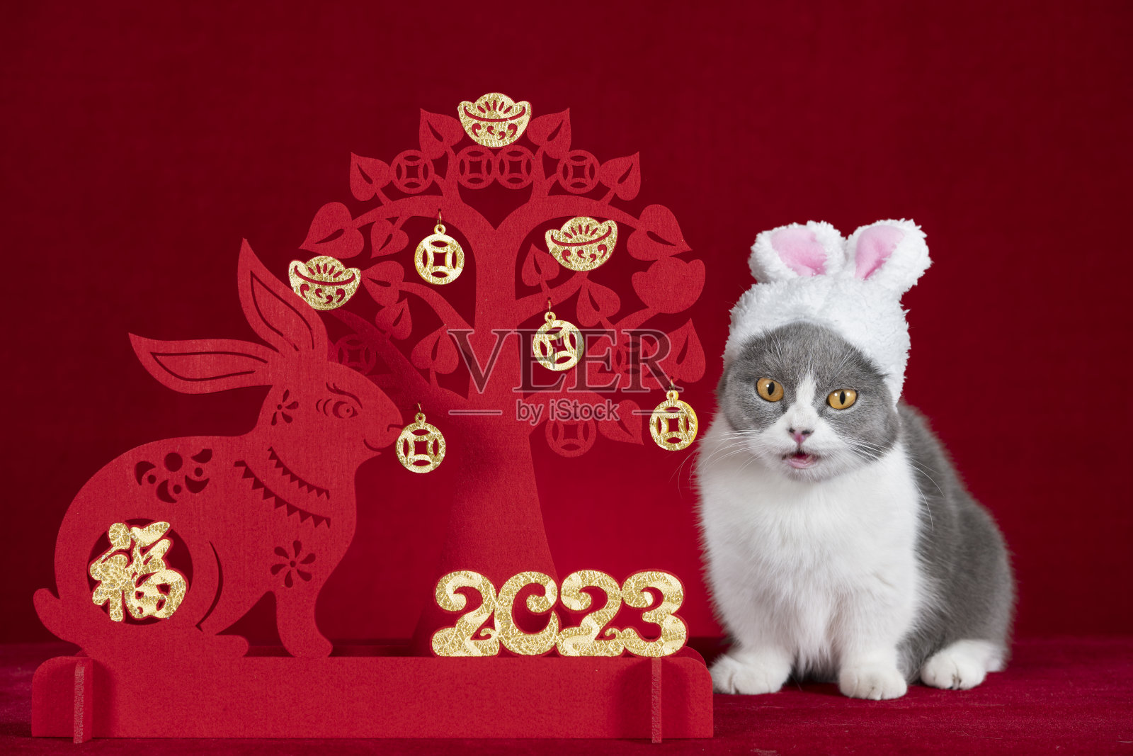 一只可爱的猫戴着一顶有兔子耳朵的帽子，旁边是一个中国新年兔子吉祥物剪纸，中文意思是幸运，没有标识，没有商标照片摄影图片