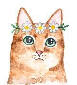 水彩插图美丽的猫与大绿色的眼睛戴着白色和黄色的雏菊皇冠。插画图片