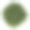 顶视图的马栗树孤立的白色背景素材图片