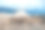 比格尔海峡的鸬鹚王殖民地素材图片