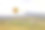 堪培拉，热气球，澳大利亚，湖，日出，黎明，城市素材图片