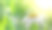 露珠在新鲜的绿色草地和雏菊特写。素材图片
