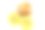 新鲜的黄色猕猴桃孤立在白色的背景素材图片