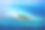 洪达富里，哈达卢环礁，拉卡迪夫海，马尔代夫素材图片