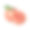 完整和半未剥皮的成熟粉红葡萄柚，矢量图示素材图片