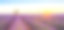 法国瓦朗索勒的紫色薰衣草田素材图片