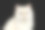 毛茸茸的英国猫白色的颜色孤立的黑色背景素材图片