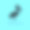 鹈鹕的黑色侧影，单腿站立。在明亮的蓝色、绿松石色背景上的鸟的环状鳍。素材图片