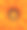 非洲菊花大橙色素材图片