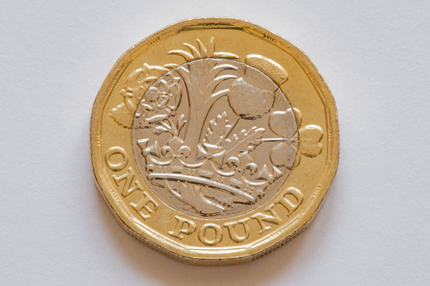 英镑硬币 背面图片