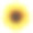 太阳的花素材图片