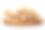 在白色背景上分离的杏鲍菇王平菇素材图片