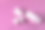 粉色背景上的锆石假牙-陶瓷贴面-发光器素材图片