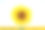 田野里的向日葵开着亮黄色的花素材图片