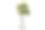 Streblus asperper树在孤立的背景素材图片