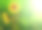 散景背景上的向日葵素材图片