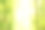 竹林温泉背景。水彩手绘绿色植物插图与文字空间素材图片