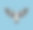 鸟的轮廓。伯劳鸟张开翅膀，举着一个圆形的标志，上面有文字或标志素材图片