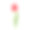 带有绿色茎和叶的红色郁金香，孤立在白色背景上。矢量插图，春天的花图标在卡通平面风格。素材图片