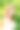 一幅在绿叶映衬下穿着白色衣服的美丽女子的画像。素材图片