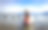 奇姆湖的天鹅素材图片